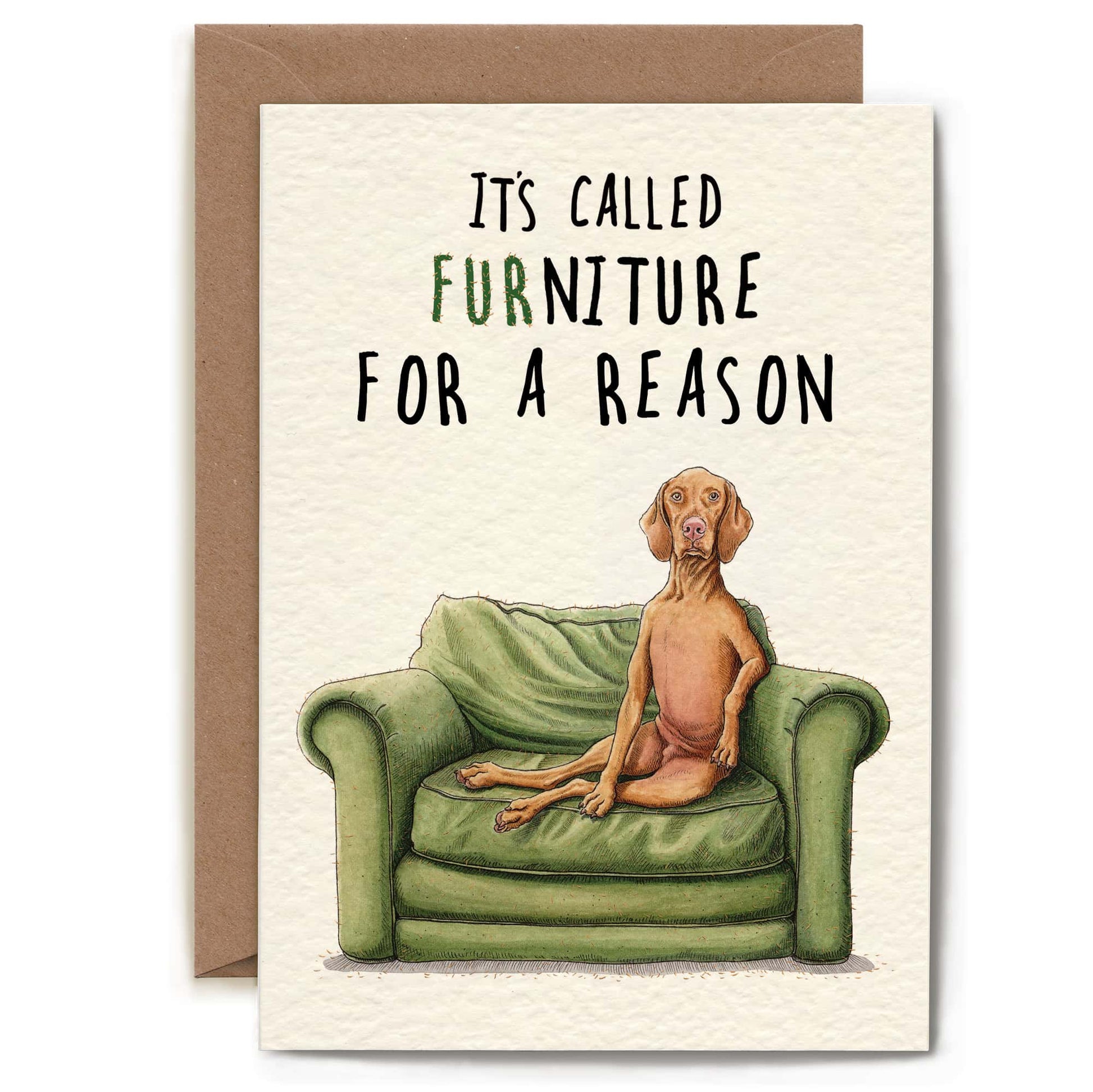 Furniture Dog Card - Everyday Card - Funny