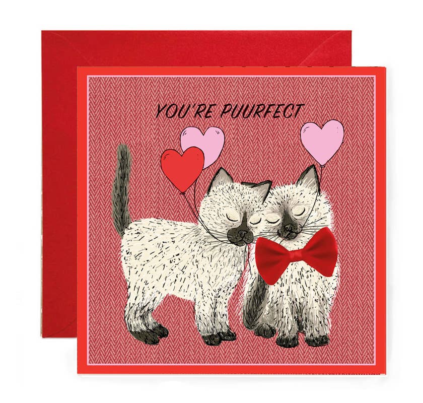 Pair of Fluffy Cats  Valentines Card