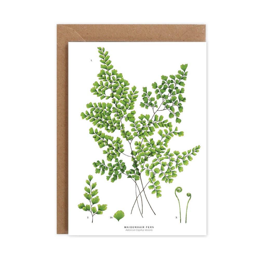 Maidenhair Fern Greetings Card