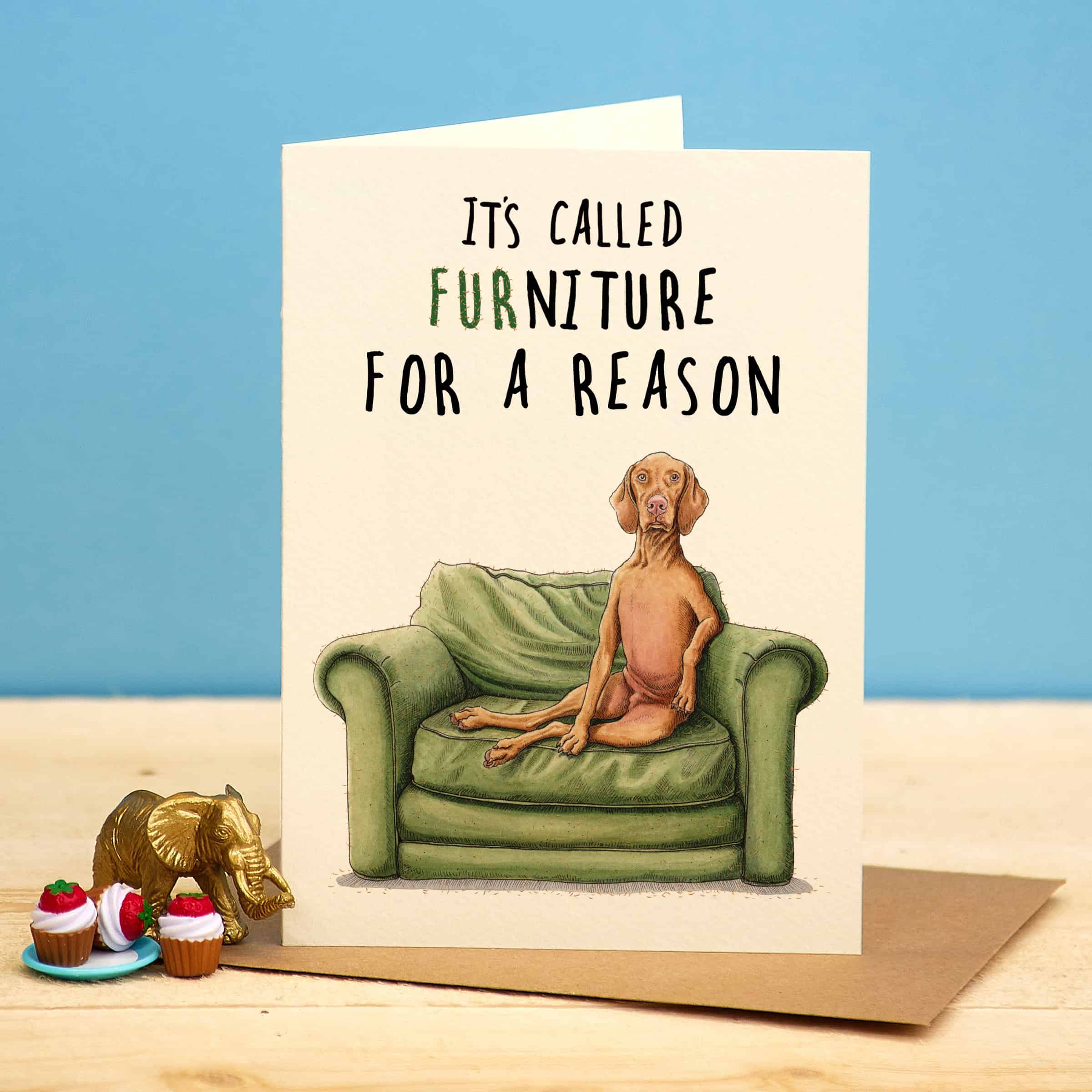 Furniture Dog Card - Everyday Card - Funny