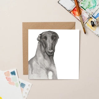 Lil Wabbit - Freddie the greyhound