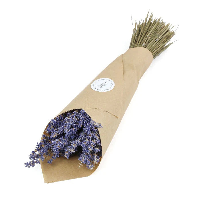 Bouquet Of Dried Lavender - Grown in England
