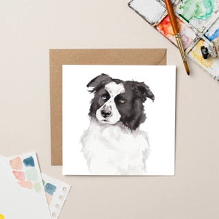 Lil Wabbit - black and white collie