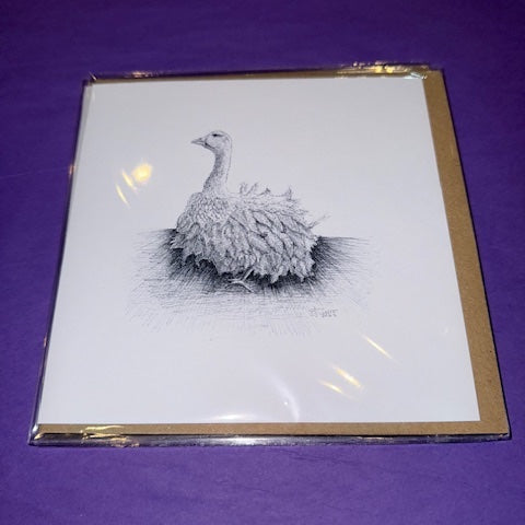 Sebastepol Goose Card