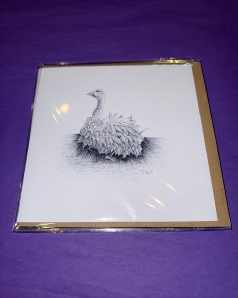 Sebastepol Goose Card