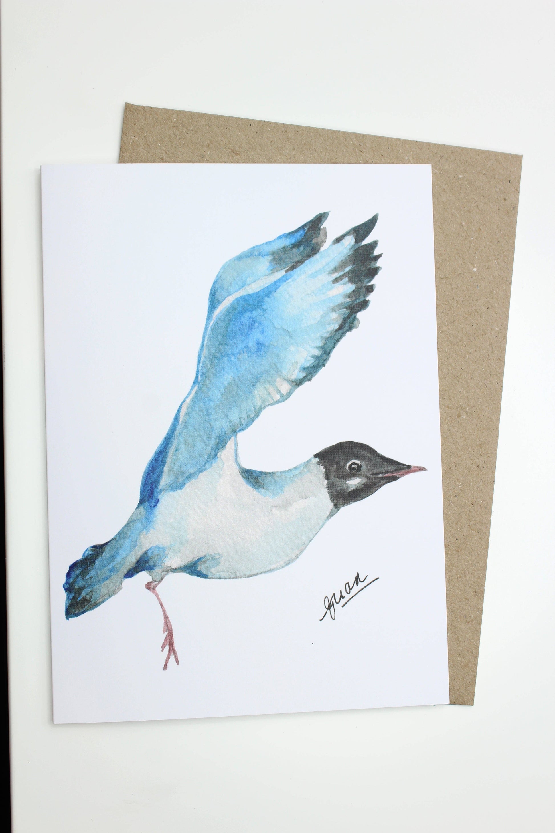Flying Gull Card by Guan
