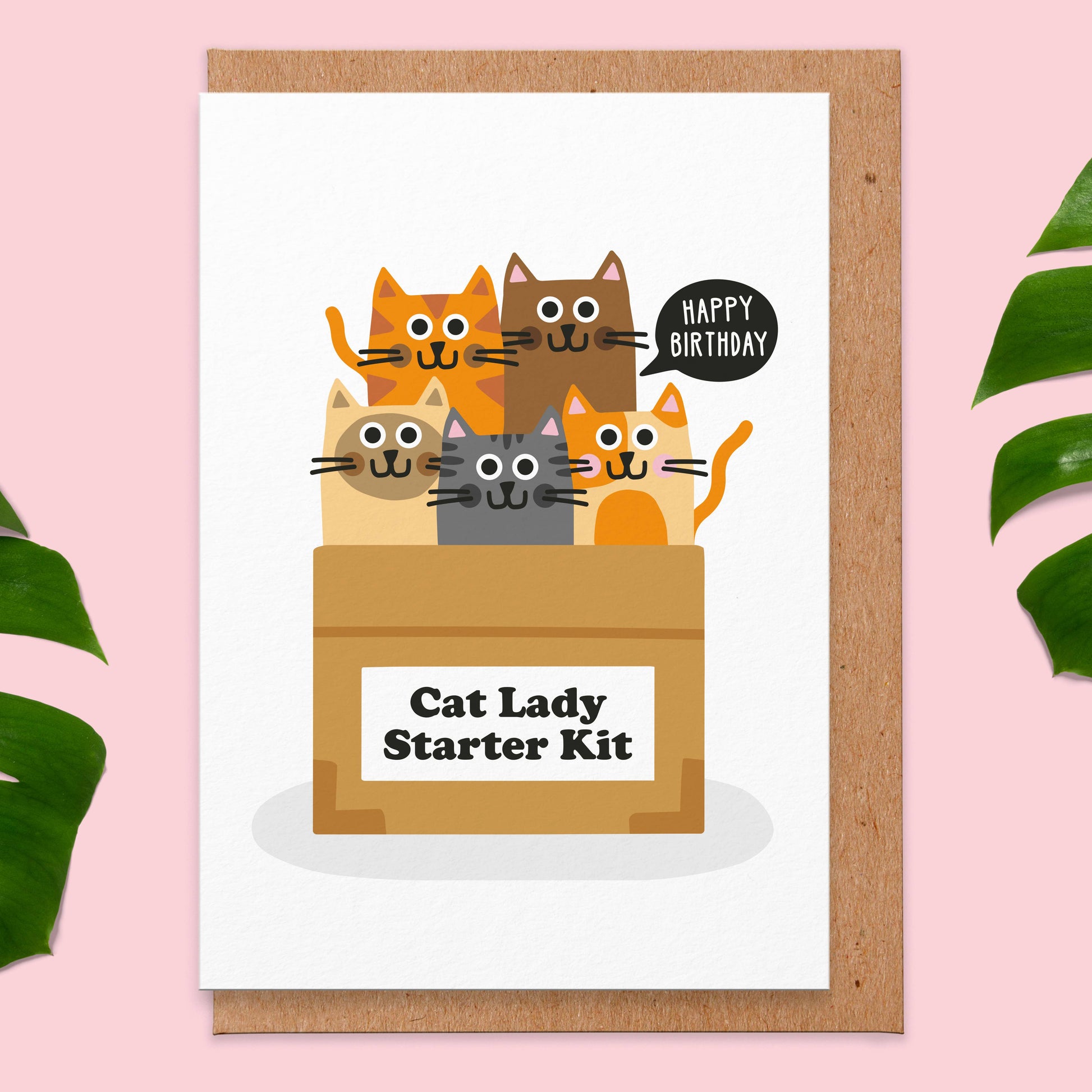 Cat Lady Starter Kit Birthday Card
