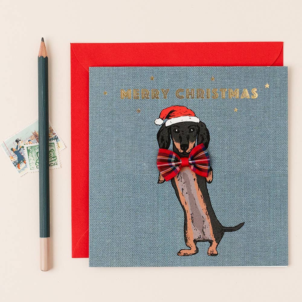 Christmas sausage dog dachshund