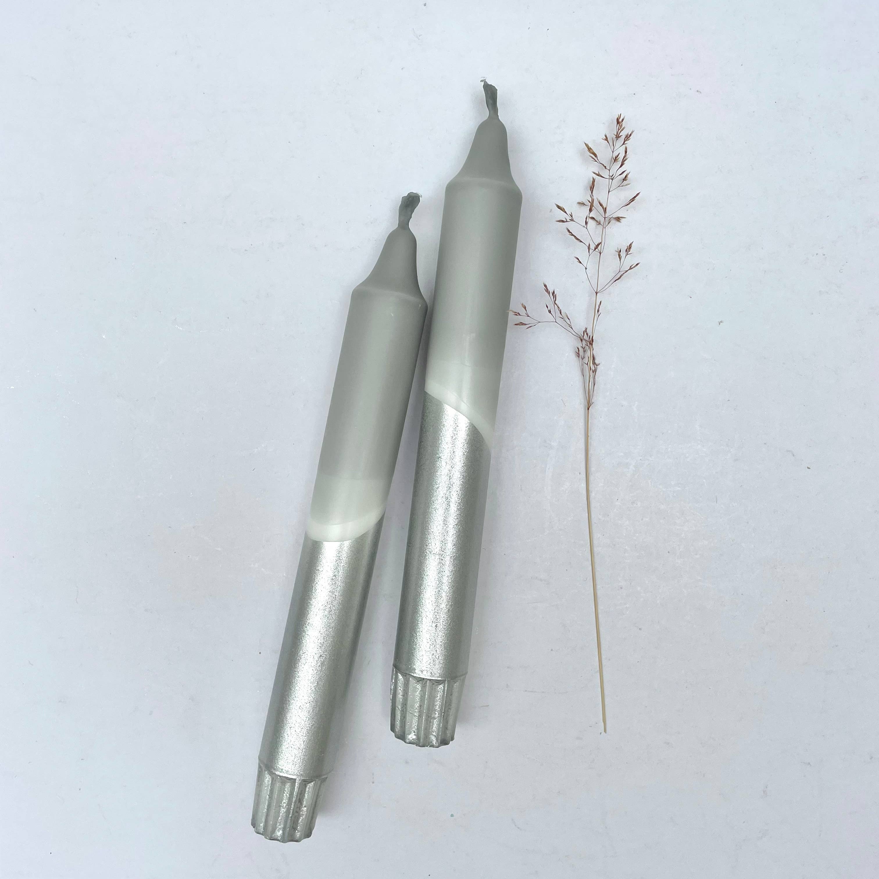 Two metallic tools on a white background with a small plant.