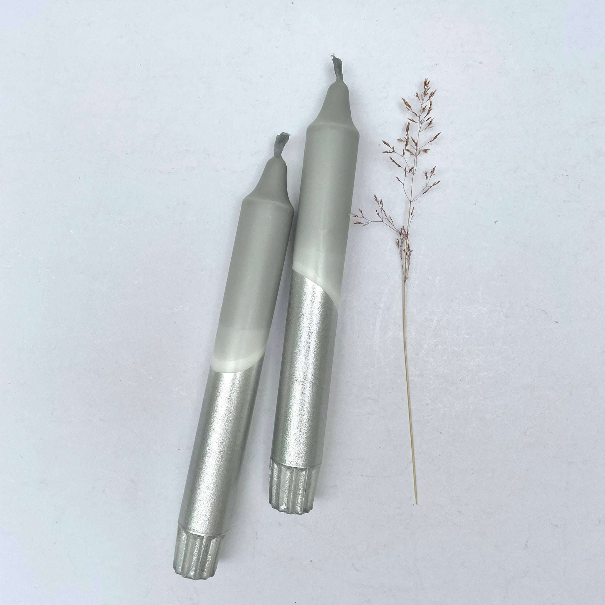 Two metallic tools on a white background with a small plant.